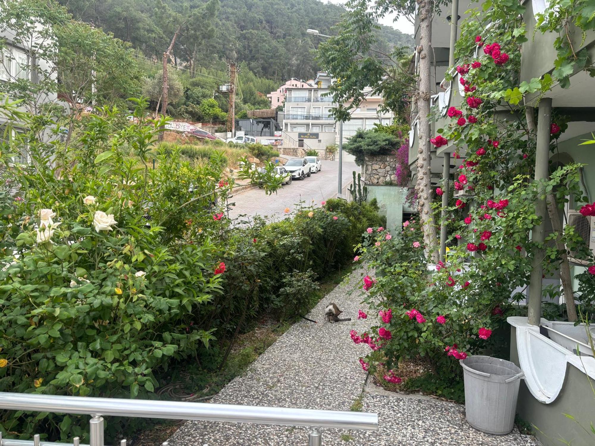 Ideal Pension Fethiye Exterior photo